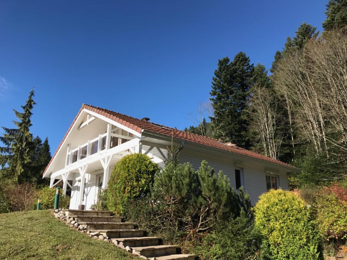 Le Chalet Blanc - Jacuzzi / Piscine / Sauna Gerardmer Ngoại thất bức ảnh